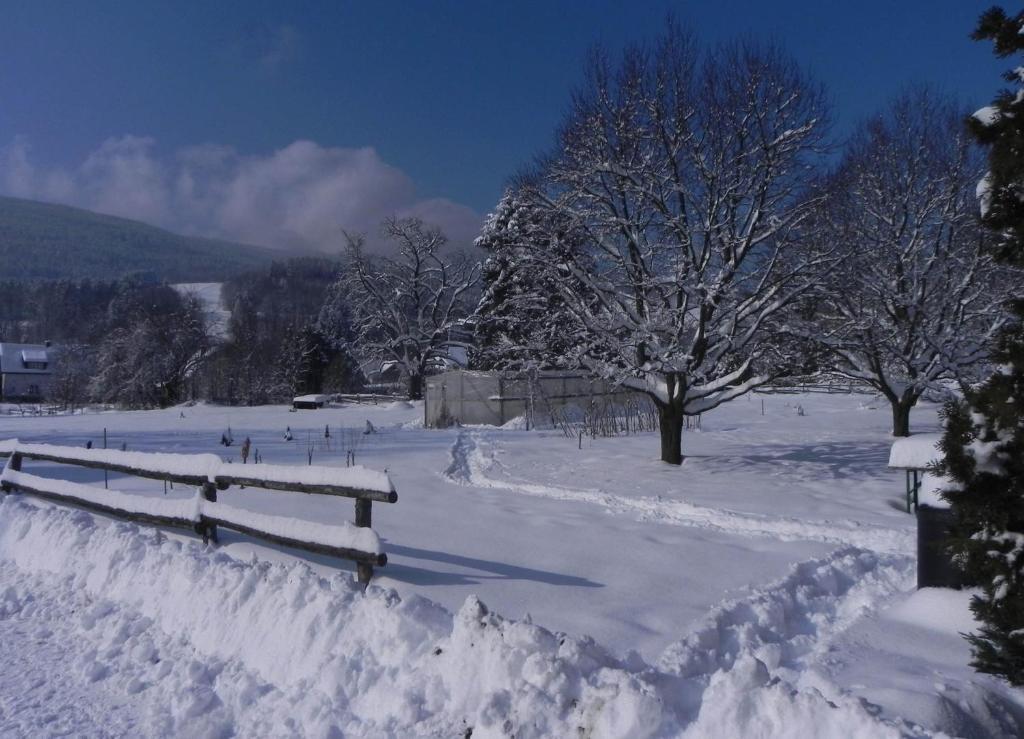 Gasthof Gruener Baum เคียร์ชแบร์ก อัม เวคเซล ภายนอก รูปภาพ