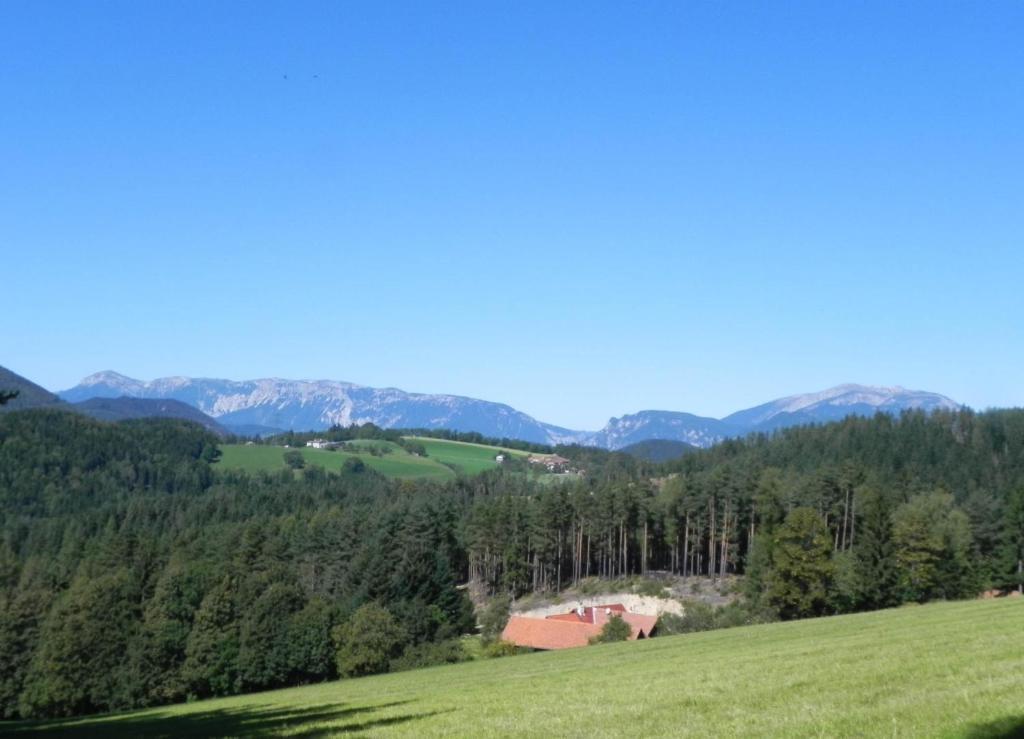 Gasthof Gruener Baum เคียร์ชแบร์ก อัม เวคเซล ภายนอก รูปภาพ
