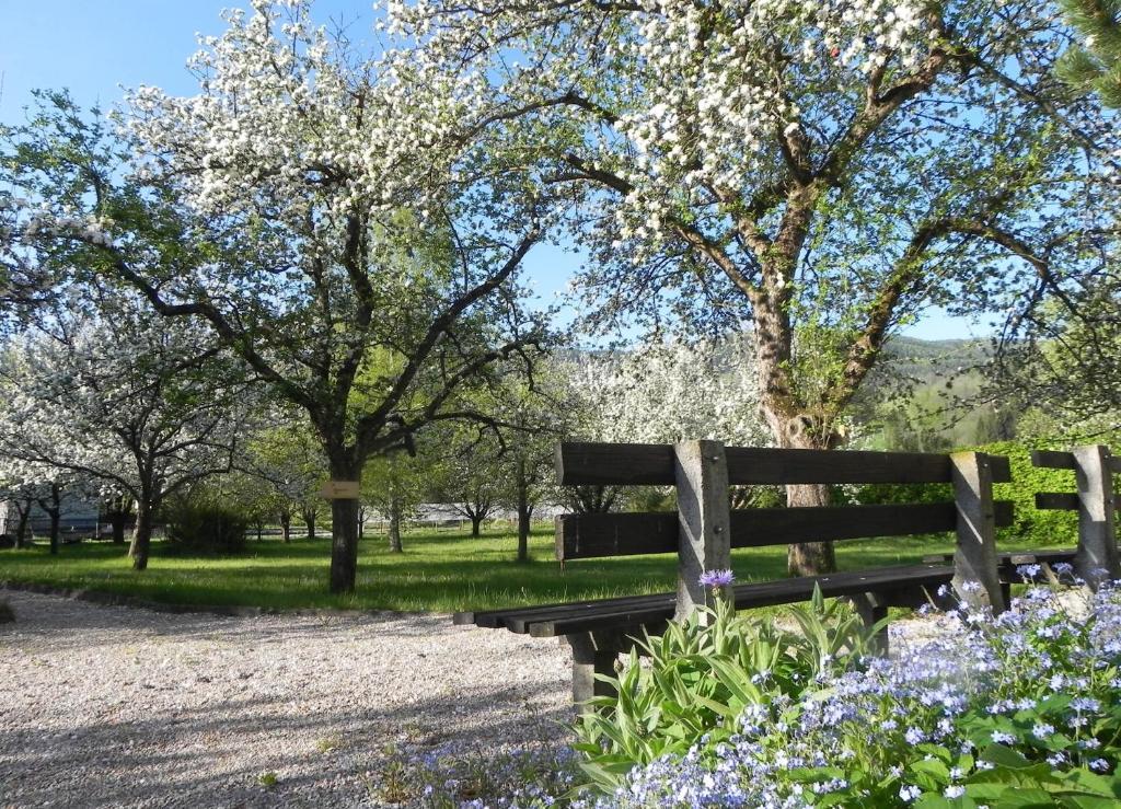 Gasthof Gruener Baum เคียร์ชแบร์ก อัม เวคเซล ภายนอก รูปภาพ